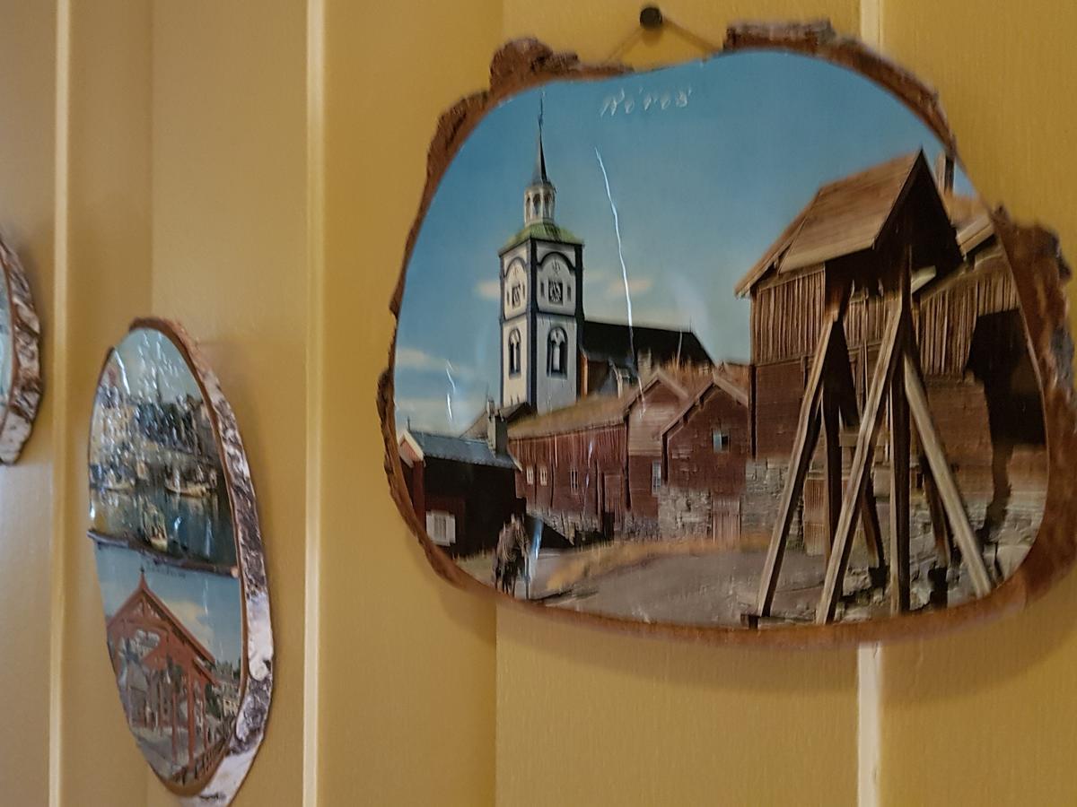 Solheim Pensjonat Røros Kültér fotó